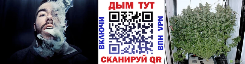 Бошки Шишки марихуана Октябрьский